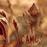 Camus guitariste chanteur folk blues
