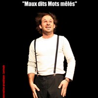 Maux dits mots mêlés de et avec Mathieu Cohin