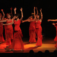 Spectacle Oriental Dreams