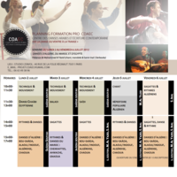 Formation professionnelle/ Stage intensif Juillet 2012 - Danses du monde arabe