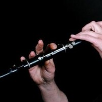Flûte traversière irlandaise en bois à Brest, Sizun et Landerneau