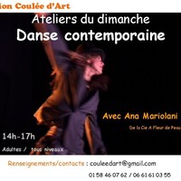 Stage Danse contemporaine