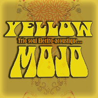 Concept Electro-acoustique aux diverses couleurs Jazz, Soul & Funk... un Trio 100% live !