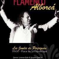 Spectacle de Flamenco - Cuadro Flamenco Alboreá