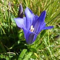 stage de qi gong en montagne pyrénées