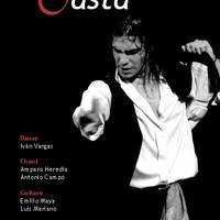 Spectacle de flamenco - de casta