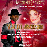Spectacle Hommage à Michael Jackson