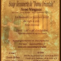 STAGE DANSE ORIENTALE AVEC VIRGINIE
