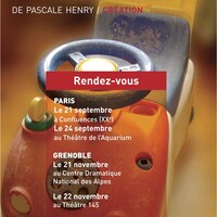 Pas à pas jusqu'au bonheur de Pascale Henry