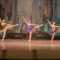 La Belle au Bois dormant, ballet classique