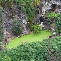 Visites Guidées à EDEN PARC/Le Jardin d'EDEN