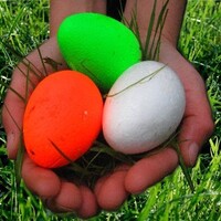 Chasse aux oeufs & Caetera