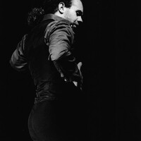 La Reja Flamenca