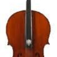 Cours de Violoncelle, Région de quimper