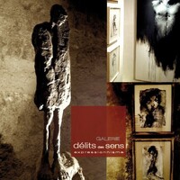 Galerie d'art Délits des Sens - Avignon