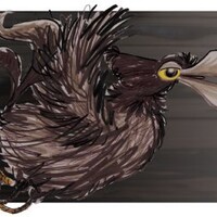 le dernier des corbeaux