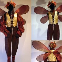 costume / déguisement homme (arzhel)