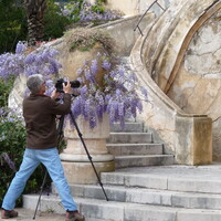 FORMATION "PHOTOGRAPHIER LE PAYSAGE" au Domaine du Rayol