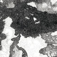 Expo Micromundi