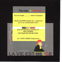 la vie est belge