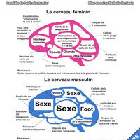 Homme-Femme mode d'emploi