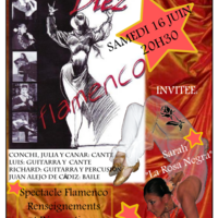 Spectacle Flamenco