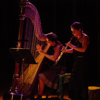 Les âmes sons, duo harpe et hautbois (Toulouse, Lyon, Grenoble...)