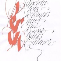 Stage de calligraphie latine 