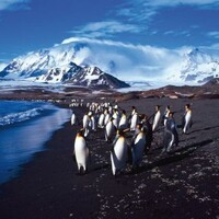 Connaissance du Monde "Patagonie - Cap Horn - Géorgie du Sud"