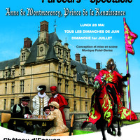 Anne de Montmorency - drames et passions à la Renaissance