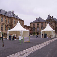 Sculptures monumentales en direct