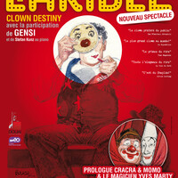 CLOWN DESTINY  DAVID LARIBLE 