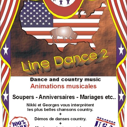 Musique country / animation musicale