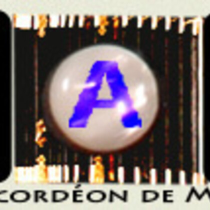 Accordéon Montpellier (Formation professionnel et débutant )