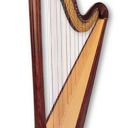 LOUE GRANDE HARPE