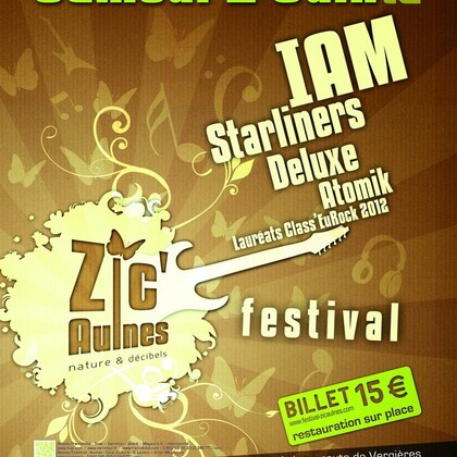 ZIC'AULNES