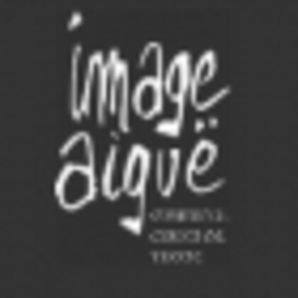 Image Aiguë
