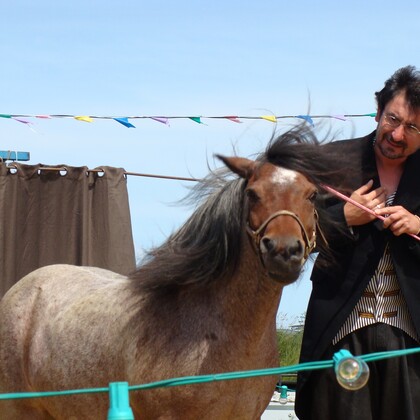 LES PONEYS DU PORFESSEUR DELEITO