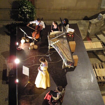 Chanteuses et musiciens classiques professionnels