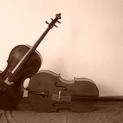 Duo de violoncelle pour mariage, anniversaire, soirée