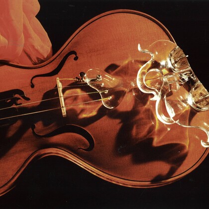 Stradivariations, exposition de Marc-Henri Cykiert
