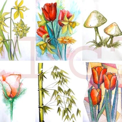  COURS DE  DESSIN ARTISTIQUE, DESSIN TECHNIQUE ET HISTOIRE DE L’ART