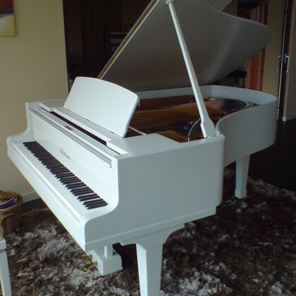 Vds piano 1/4 de queue très haut de gamme Blüthner 190 Model 6