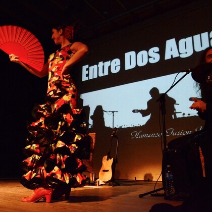 Entre dos Aguas