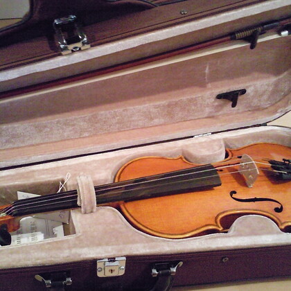 Vends Violon