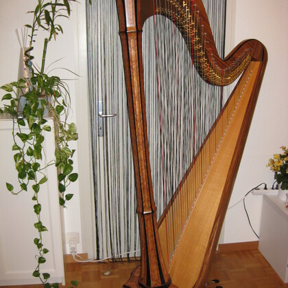 Harpe David à louer