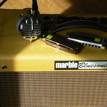 Harmoniciste - Blues.
