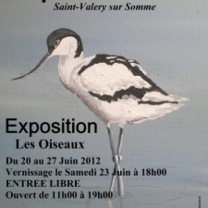 exposition pictural oiseaux