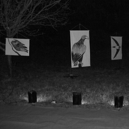"A VOL D'OISEAUX"