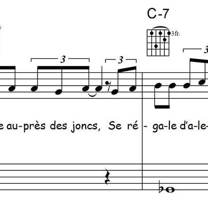 saisie de vos partitions